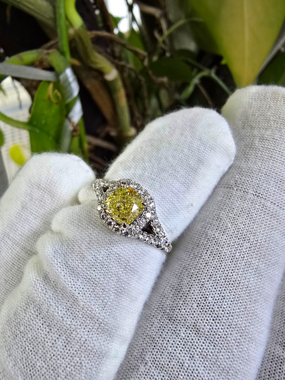 Kami 1.02 cts. Natural Cushion Fancy Light Yellow Diamond Halo Ring with Natural Round White VVS Diamonds Halo and 18K White Gold - GIA Certified - R9