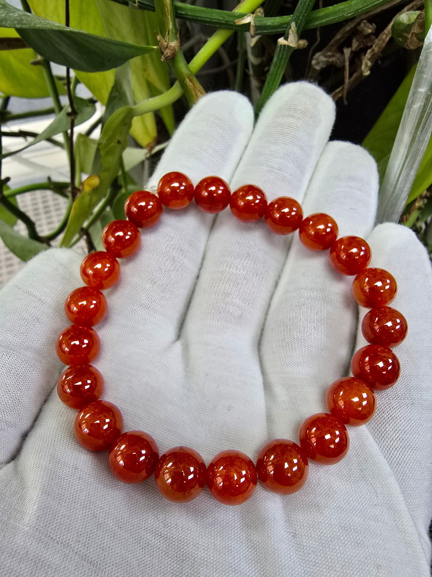 Imperial Japanese Red Burmese A-Jade Beaded Bracelet (MADE IN JAPAN) (10 mm Each x 22 beads) - Certified 05048