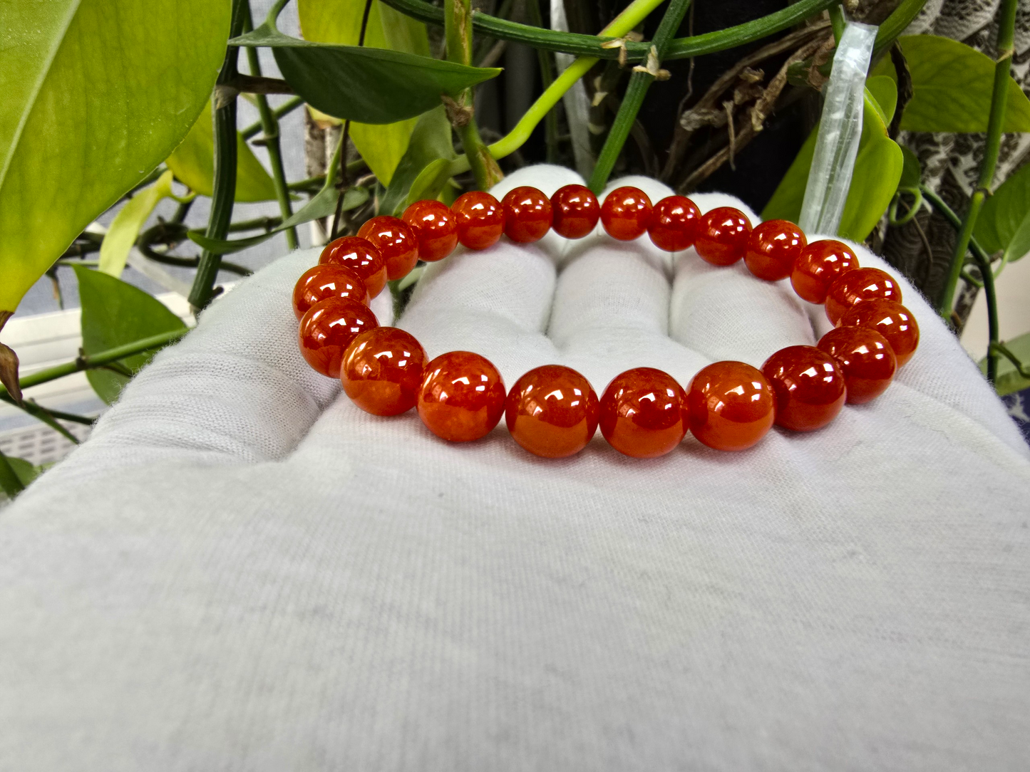 Imperial Japanese Red Burmese A-Jade Beaded Bracelet (MADE IN JAPAN) (10 mm Each x 22 beads) - Certified 05048