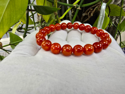 Imperial Japanese Red Burmese A-Jade Beaded Bracelet (MADE IN JAPAN) (10 mm Each x 22 beads) - Certified 05048