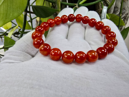 Imperial Japanese Red Burmese A-Jade Beaded Bracelet (MADE IN JAPAN) (10 mm Each x 22 beads) - Certified 05048