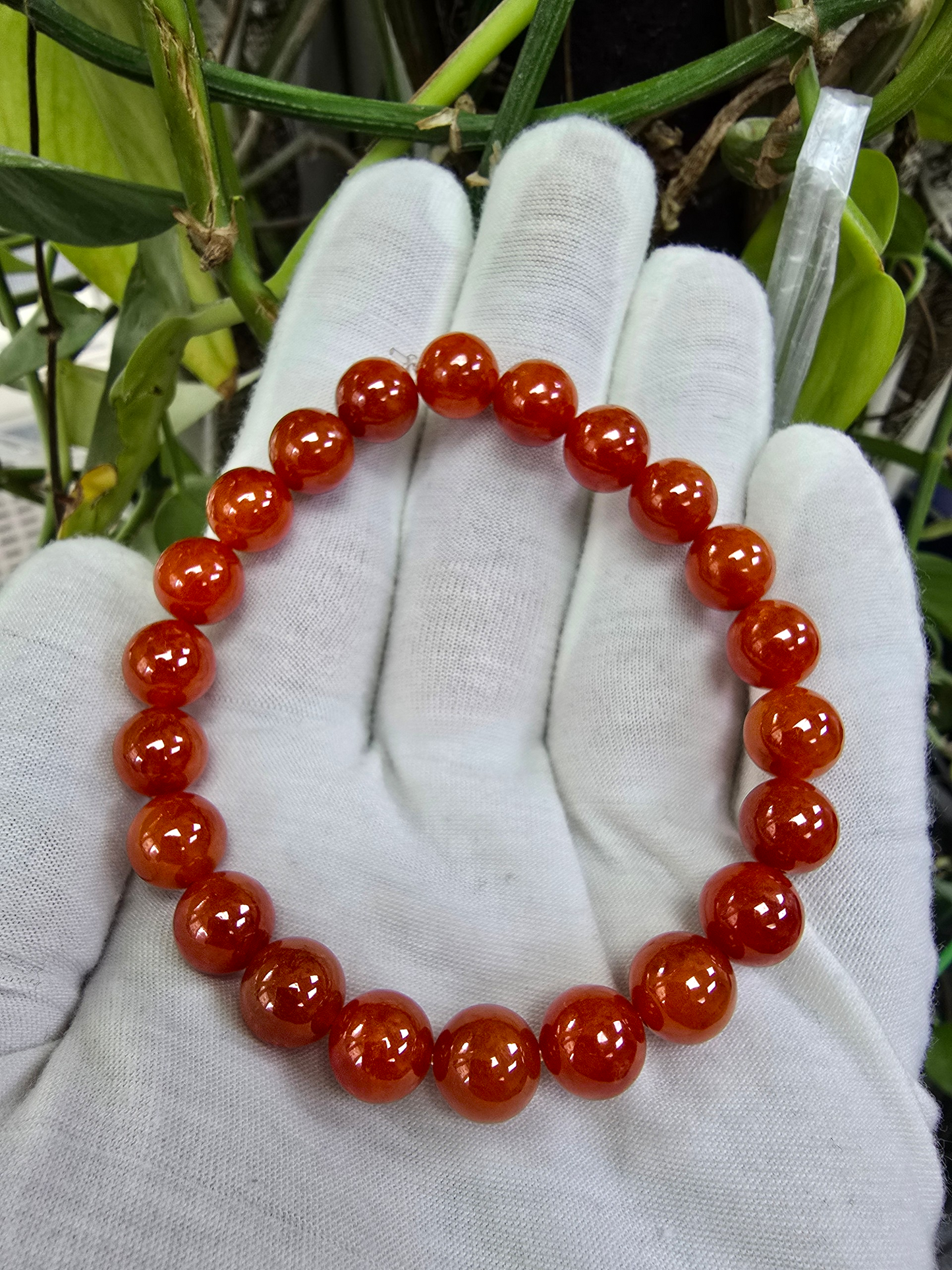 Imperial Japanese Red Burmese A-Jade Beaded Bracelet (MADE IN JAPAN) (10 mm Each x 22 beads) - Certified 05048