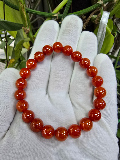 Imperial Japanese Red Burmese A-Jade Beaded Bracelet (MADE IN JAPAN) (10 mm Each x 22 beads) - Certified 05048