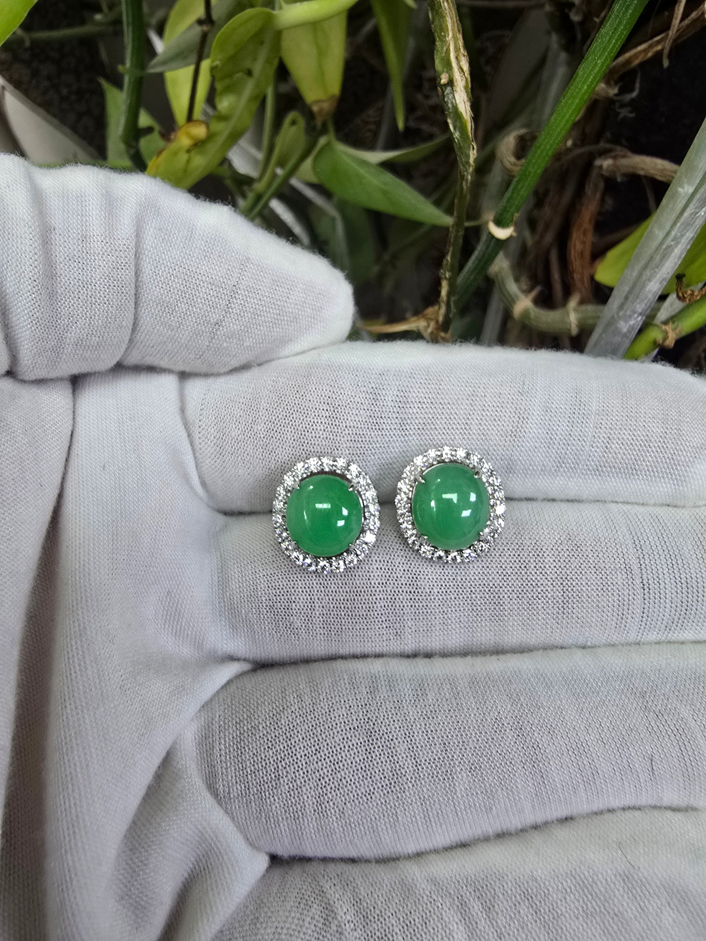 Eternal Sunshine Apple Green Burmese A-Jade Stud Earrings with Diamond Halo and 18K White Gold - Certified - V2