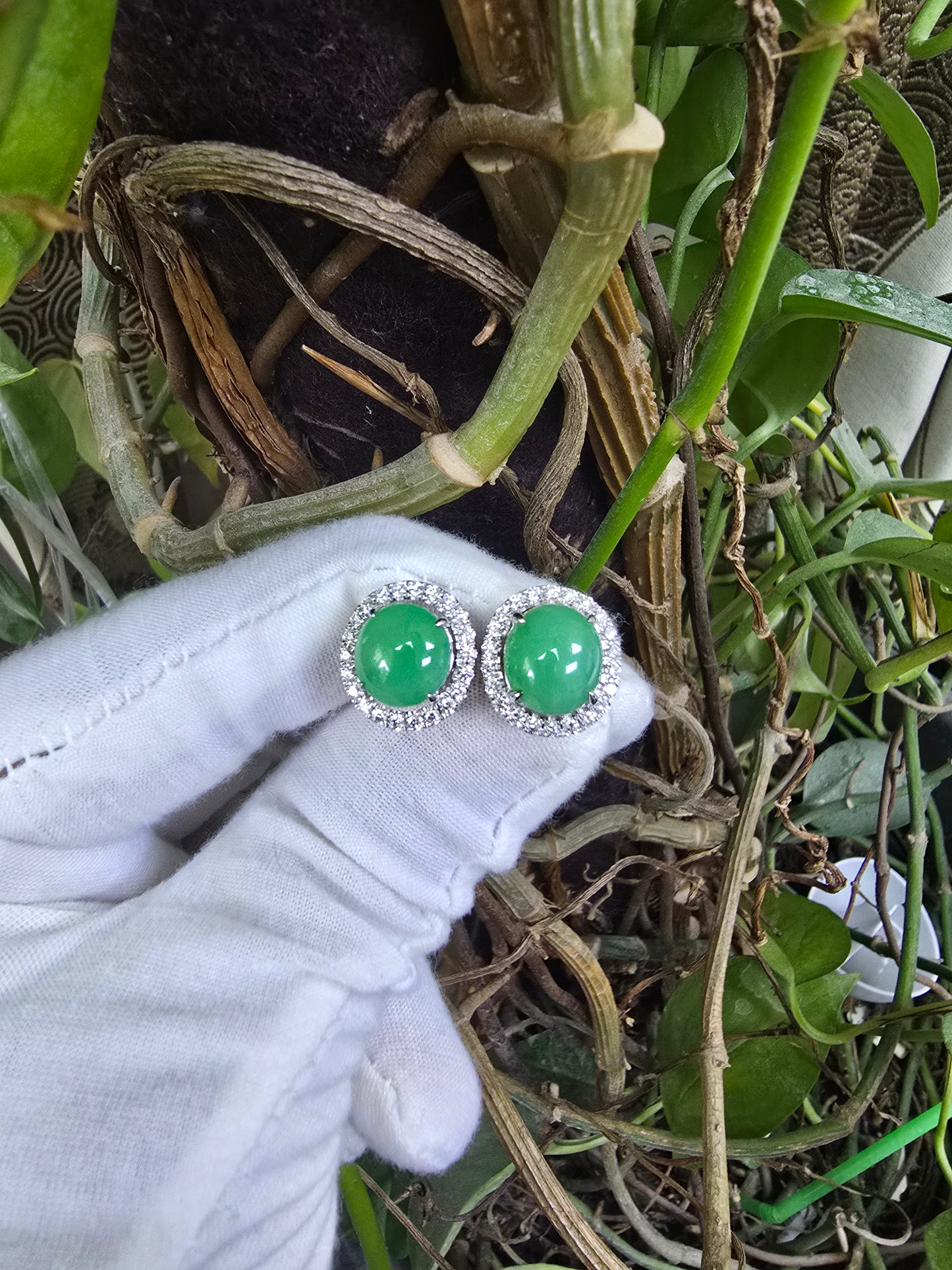 Eternal Sunshine Apple Green Burmese A-Jade Stud Earrings with Diamond Halo and 18K White Gold - Certified - V2