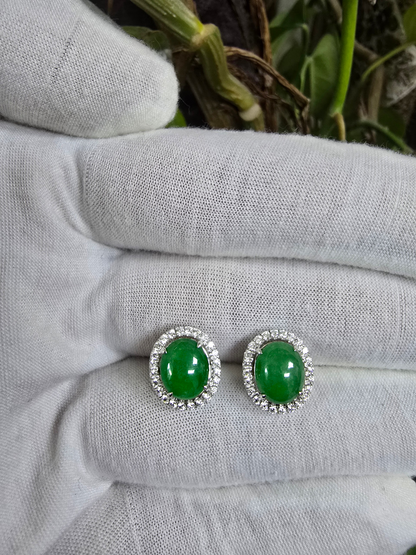Eternal Sunshine Green Burmese A-Jade Stud Earrings with Diamond Halo and 18K White Gold - Certified - V4