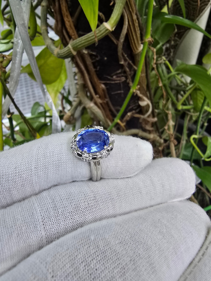 Toyohashi MADE IN JAPAN Certified Oval Shaped 3.17 cts. Cornflower Blue Sapphire Ring with Platinum 900 and White Diamonds Size US5 - R10
