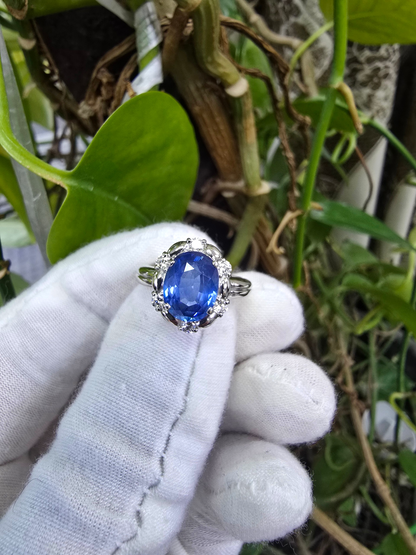 Toyohashi MADE IN JAPAN Certified Oval Shaped 3.17 cts. Cornflower Blue Sapphire Ring with Platinum 900 and White Diamonds Size US5 - R10