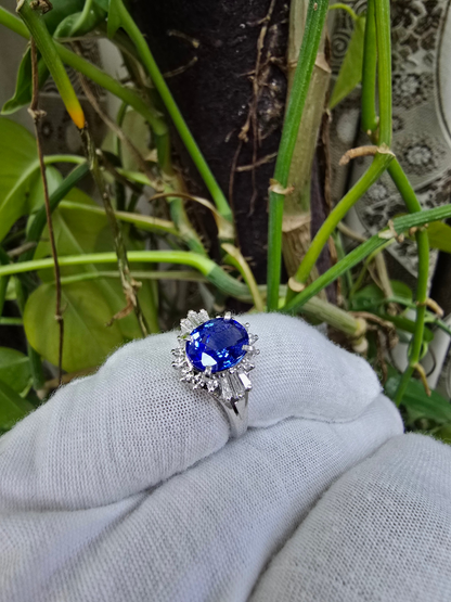 Ichinomiya MADE IN JAPAN Certified Oval Shaped 1.93 cts. Natural Blue Sapphire Ring with Platinum 900 and White Diamonds Size US6.5  - R12