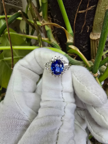 Ichinomiya MADE IN JAPAN Certified Oval Shaped 1.93 cts. Natural Blue Sapphire Ring with Platinum 900 and White Diamonds Size US6.5  - R12