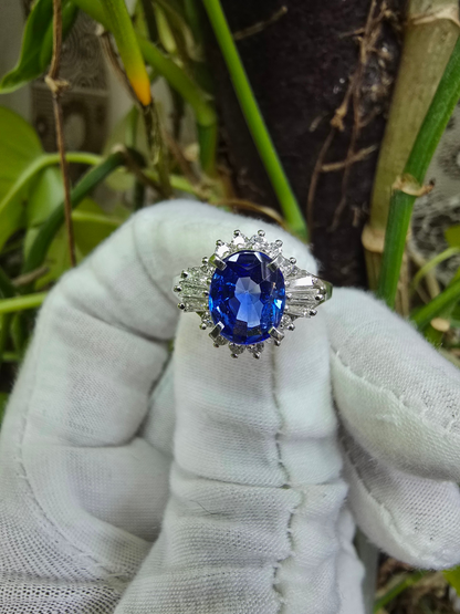 Ichinomiya MADE IN JAPAN Certified Oval Shaped 1.93 cts. Natural Blue Sapphire Ring with Platinum 900 and White Diamonds Size US6.5  - R12