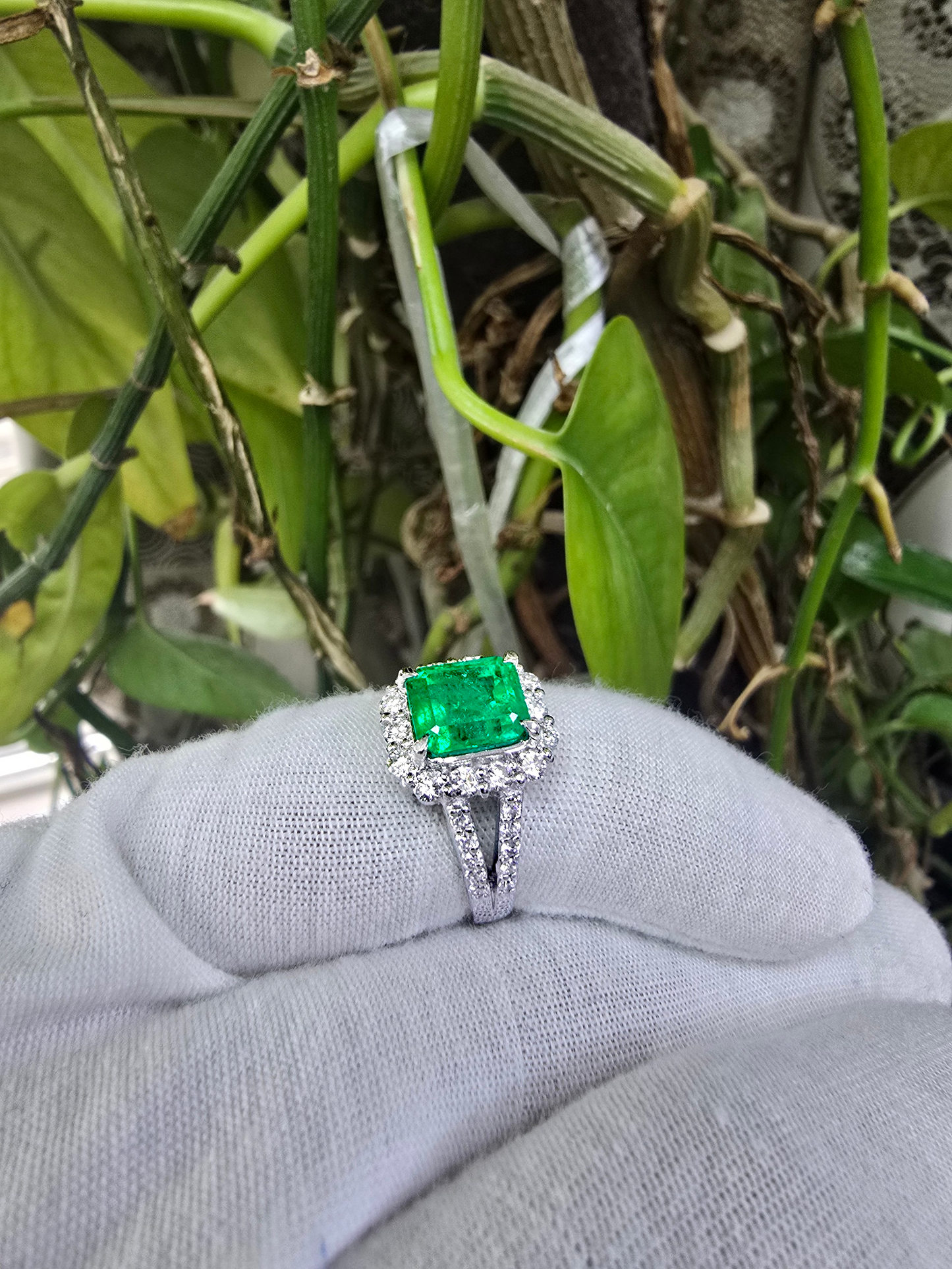 Handa MADE IN JAPAN Certified 2.34 cts. Minor Oil Vivid Green Columbian Emerald Ring with Platinum 900 and White Diamonds Size US6  - R14