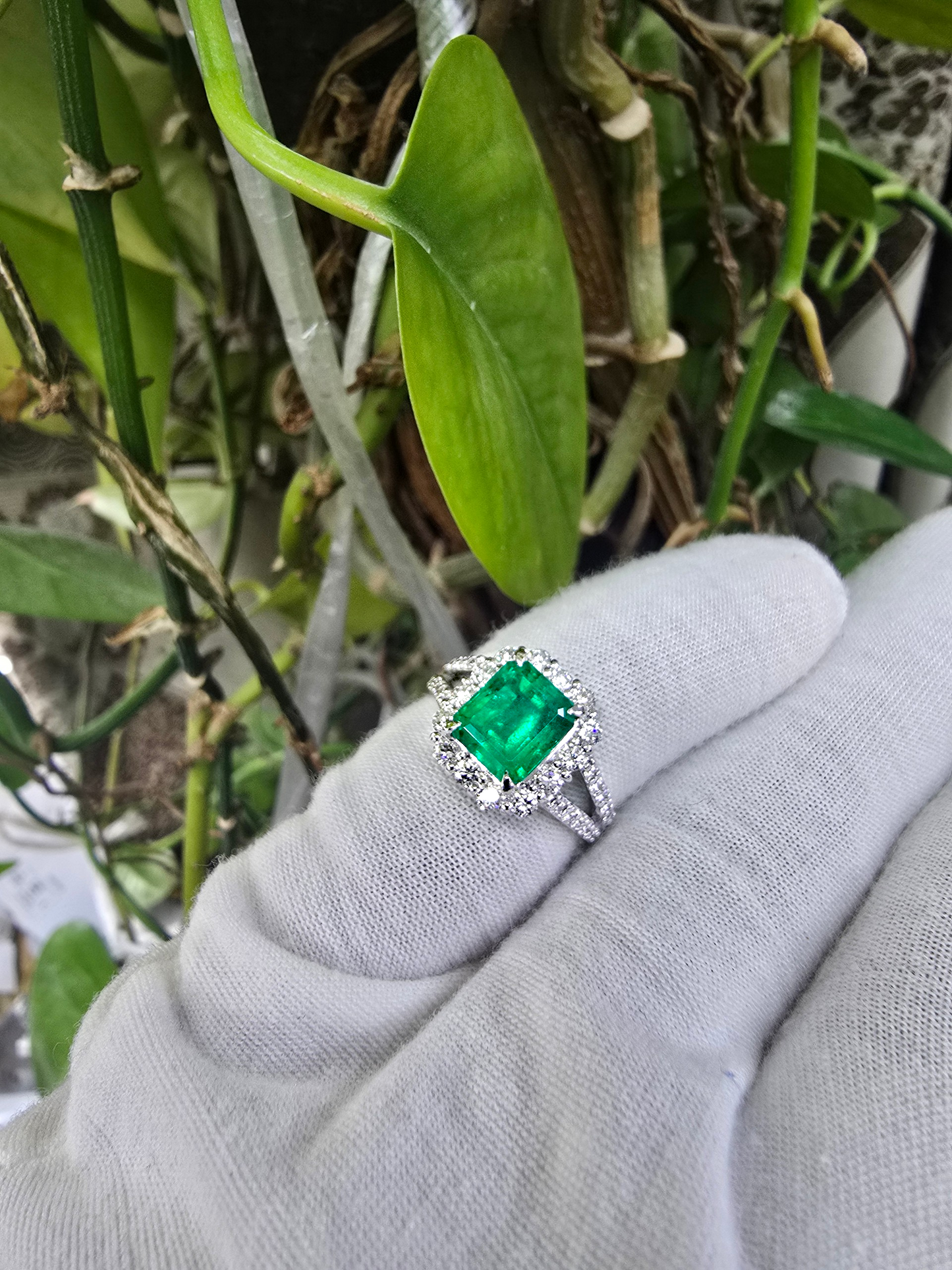 Handa MADE IN JAPAN Certified 2.34 cts. Minor Oil Vivid Green Columbian Emerald Ring with Platinum 900 and White Diamonds Size US6  - R14