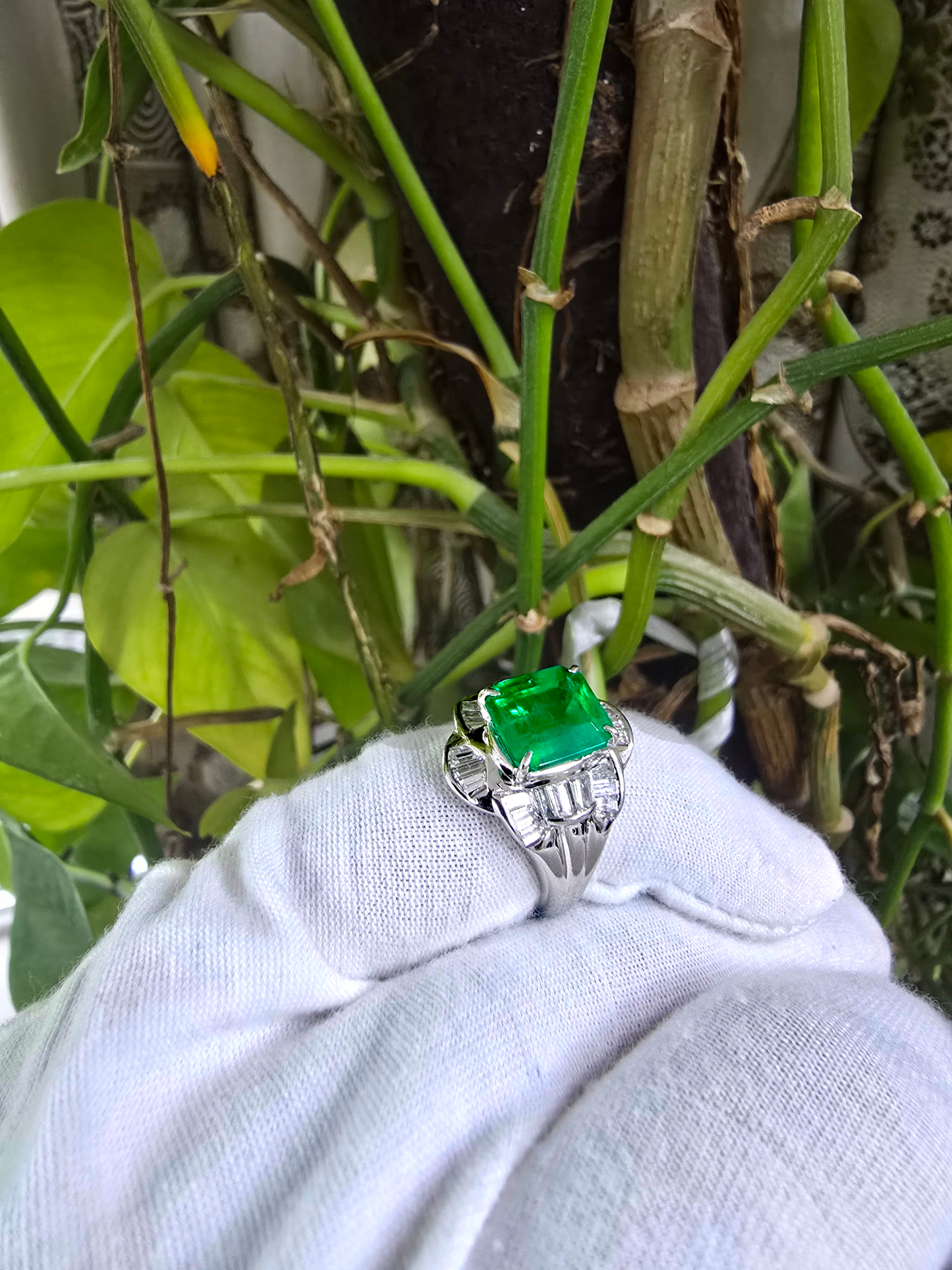 Nishio MADE IN JAPAN Certified 3.51 cts. Muzo Vivid Green Columbian Emerald Ring with Platinum 900 and White Diamonds Size US6  - R16