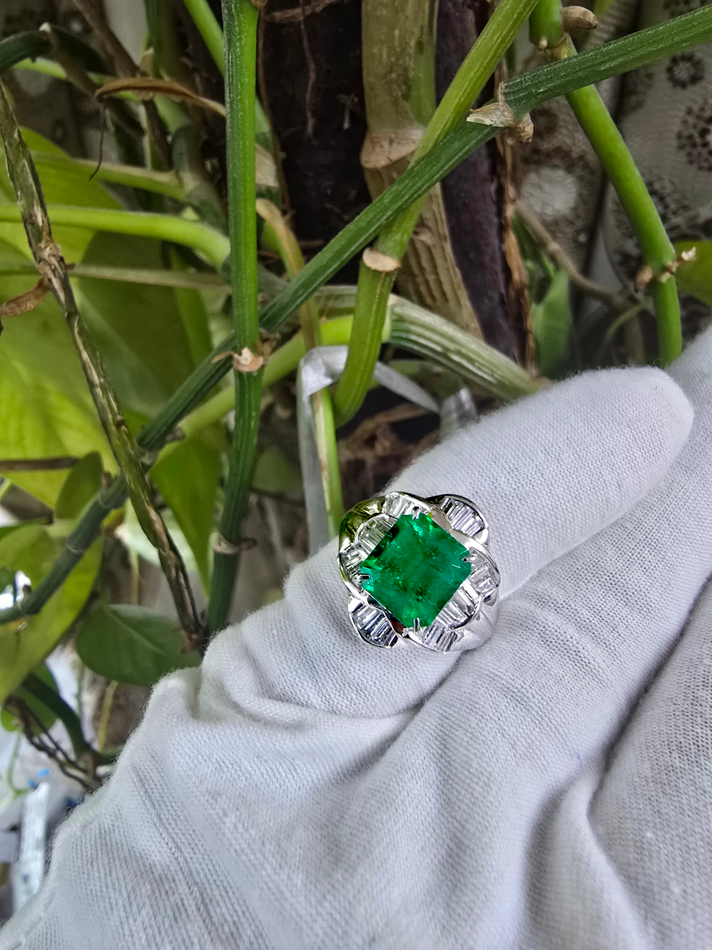 Nishio MADE IN JAPAN Certified 3.51 cts. Muzo Vivid Green Columbian Emerald Ring with Platinum 900 and White Diamonds Size US6  - R16
