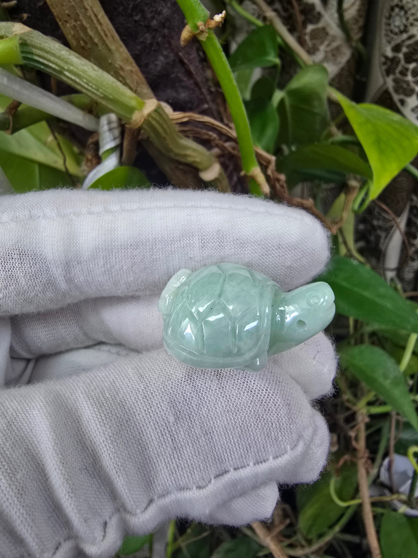 Energetic Turtle White-Green Burmese A-Jadeite Charm Pendant