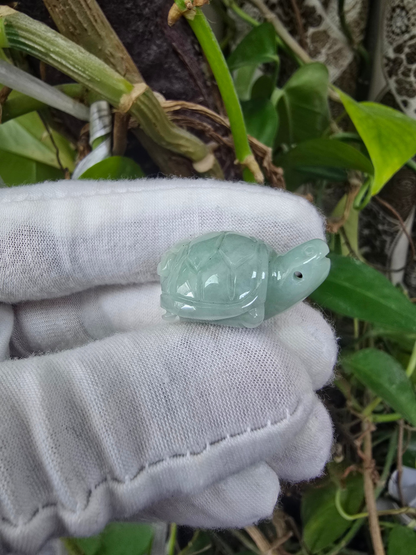 Energetic Turtle White-Green Burmese A-Jadeite Charm Pendant