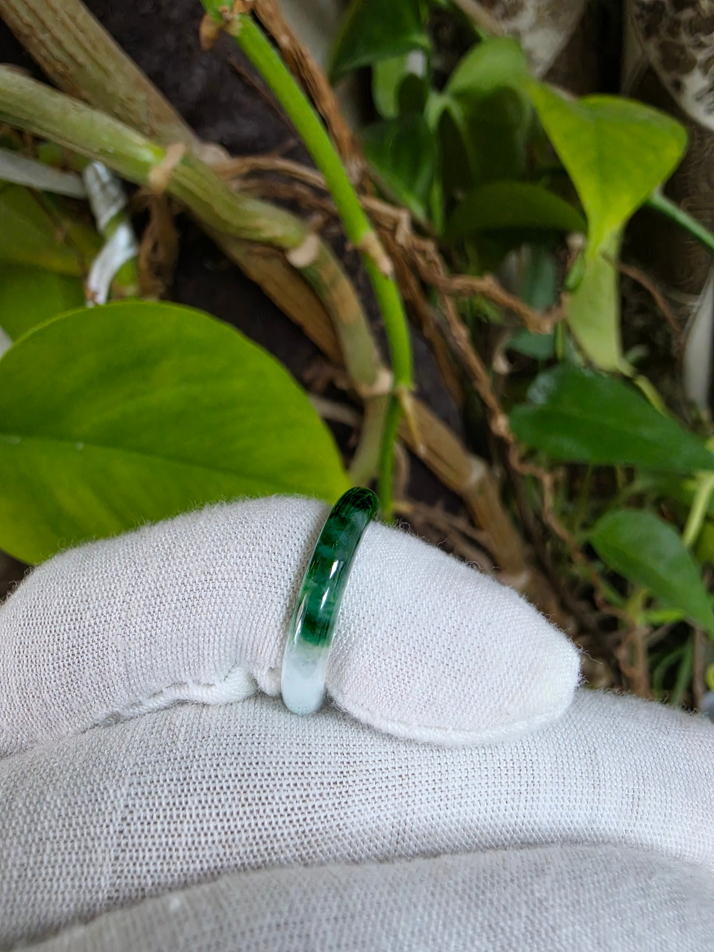 Master's Burmese Icy White and Green A-Jadeite Infinity Band Ring Size US 4.5 - 09025 - Certified