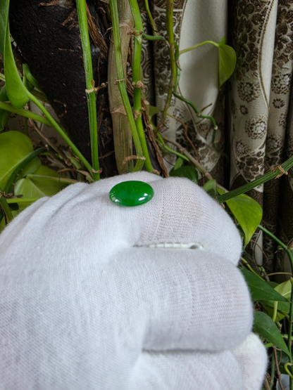 Certified MADE IN JAPAN 4.80 cts. Green Burmese A-Jadeite Oval Cabochon Loose Stone LS34