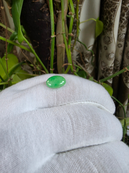 Certified MADE IN JAPAN 4.69 cts. Light Green Burmese A-Jadeite Oval Cabochon Loose Stone LS35