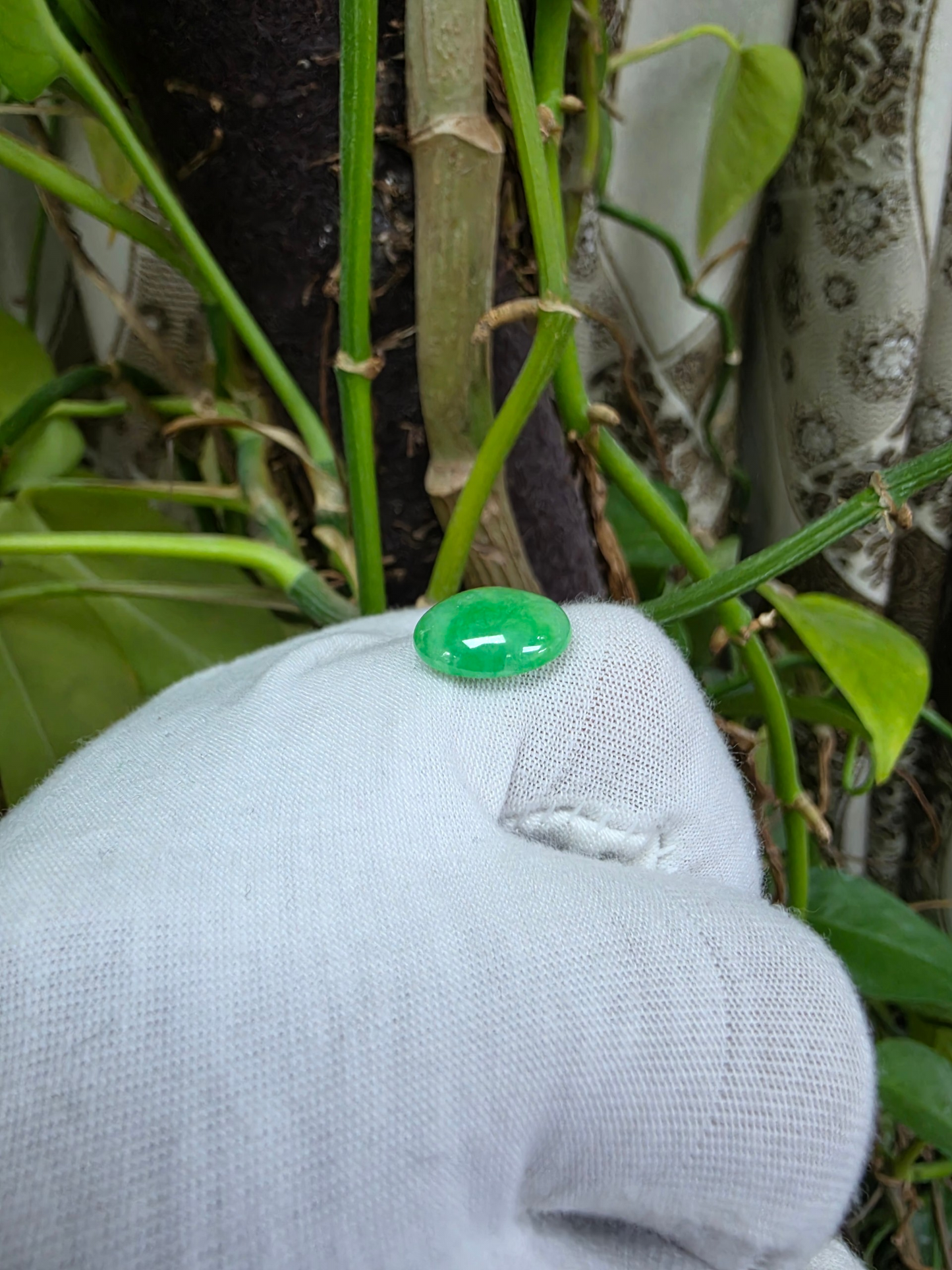 Certified MADE IN JAPAN 7.04 cts. Light Green Burmese A-Jadeite Oval Cabochon Loose Stone LS36