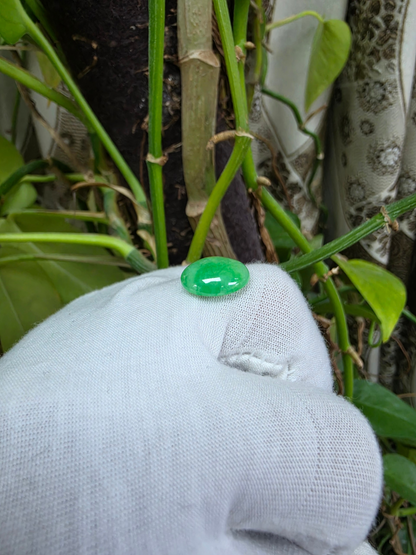 Certified MADE IN JAPAN 7.04 cts. Light Green Burmese A-Jadeite Oval Cabochon Loose Stone LS36