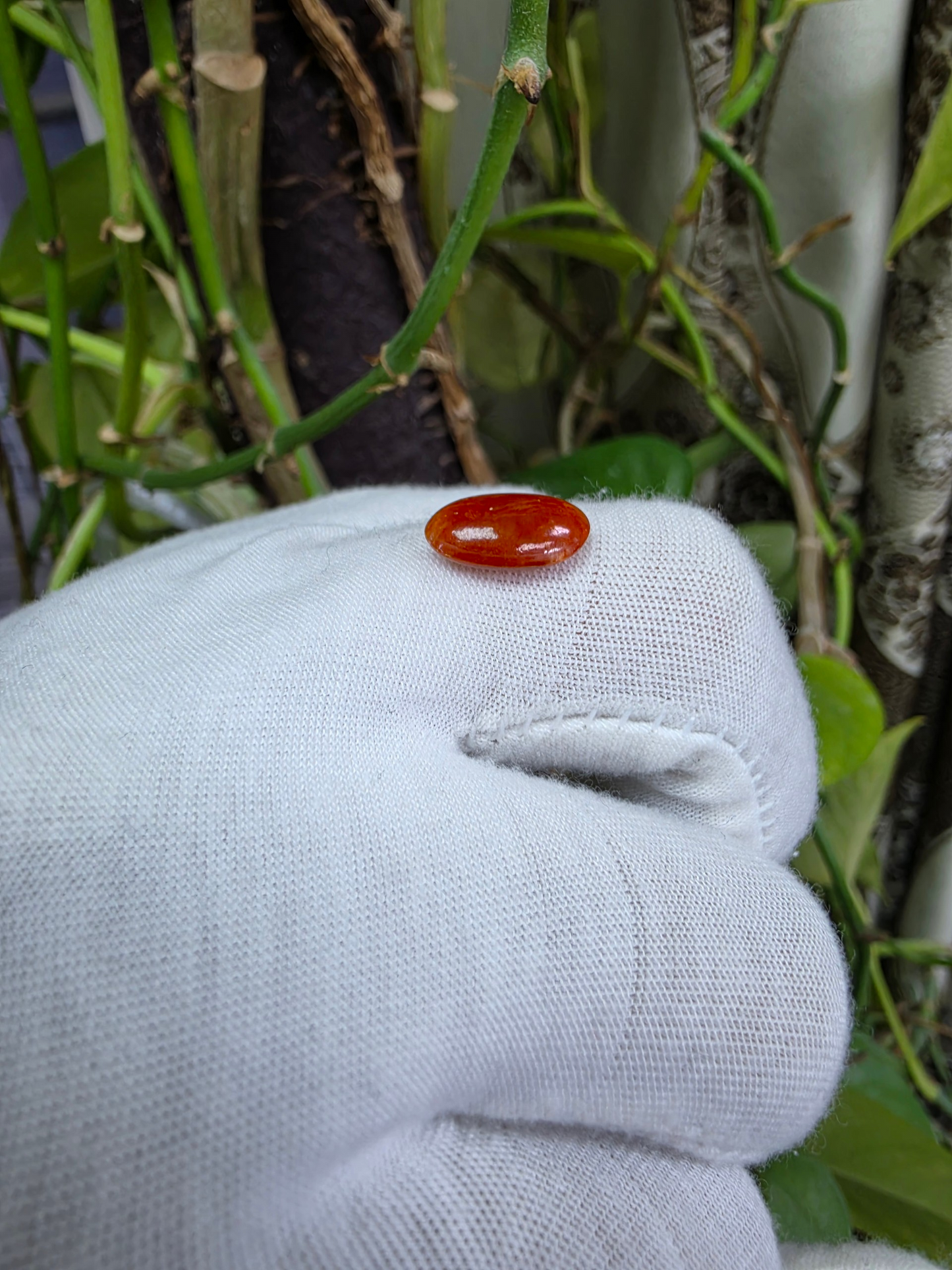 Certified MADE IN JAPAN 3.784 cts. Intense Crimson Red Burmese A-Jadeite Oval Cabochon Loose Stone LS42