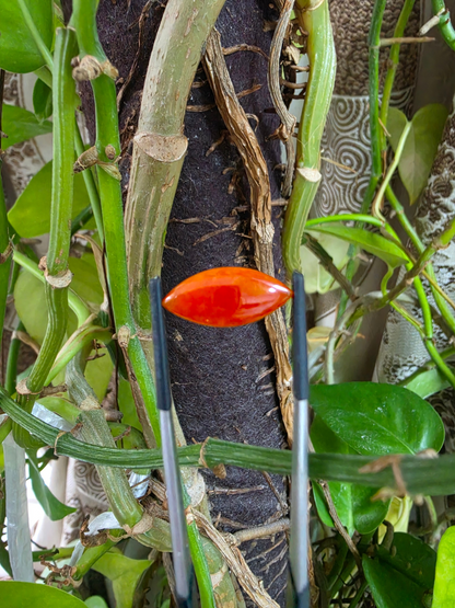 Certified MADE IN JAPAN 4.684 cts. Intense Crimson Red Burmese A-Jadeite Marquise Cabochon Loose Stone LS43