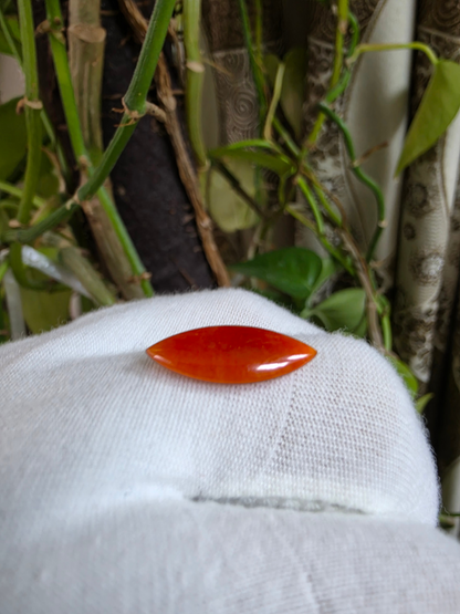 Certified MADE IN JAPAN 4.684 cts. Intense Crimson Red Burmese A-Jadeite Marquise Cabochon Loose Stone LS43