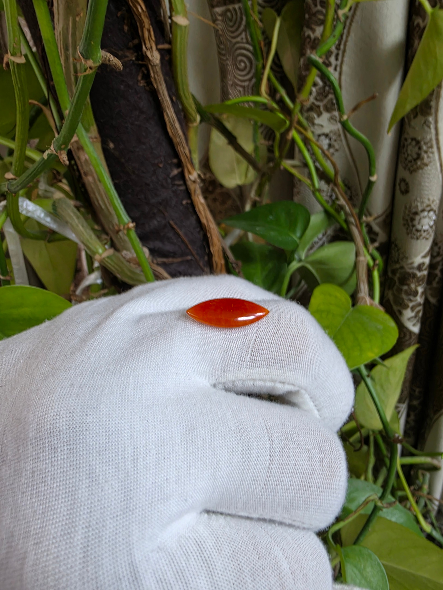 Certified MADE IN JAPAN 4.684 cts. Intense Crimson Red Burmese A-Jadeite Marquise Cabochon Loose Stone LS43