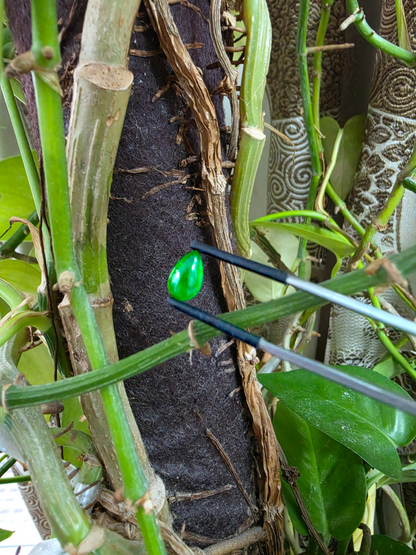 Certified MADE IN JAPAN 1.792 cts. Bright Vivid Imperial Green Burmese A-Jadeite Pear Cabochon Loose Stone LS46