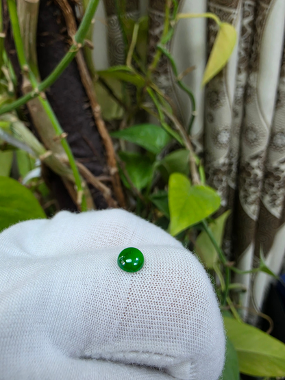 Certified MADE IN JAPAN 0.96 cts. Bright Vivid Imperial Green Burmese A-Jadeite Round Cabochon Loose Stone LS47