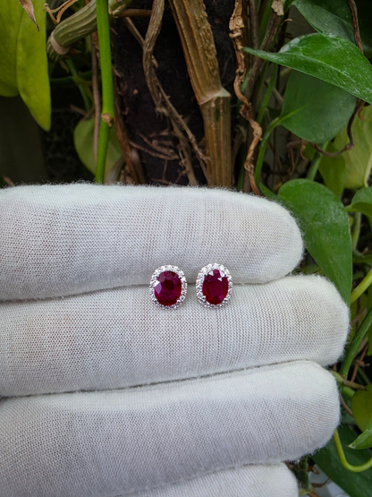 Eternal Sunshine 2.50 cts. Deep Vivid Red Ruby Stud Earrings (with Natural White Diamonds Halo and 18K White Gold) - V6