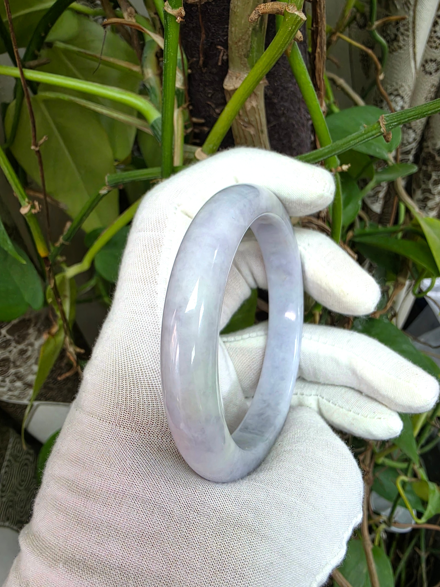 Earth's (MADE IN JAPAN) Burmese Lavender A-Jade Round Bangle Bracelet - Certified 08840