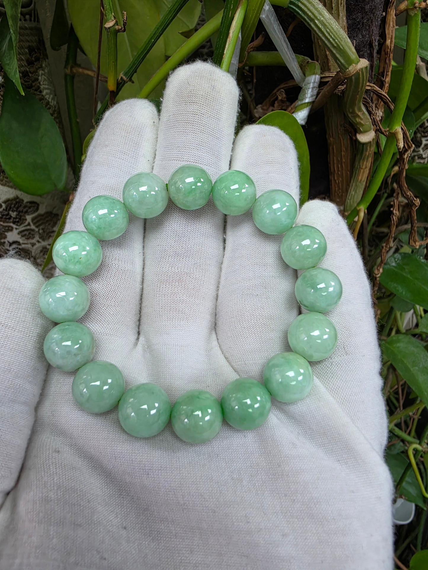 Japanese Winter Green Burmese A-Jade Beaded Bracelet (MADE IN JAPAN) (12.00 - 12.50 mm Each x 16 beads) 05053