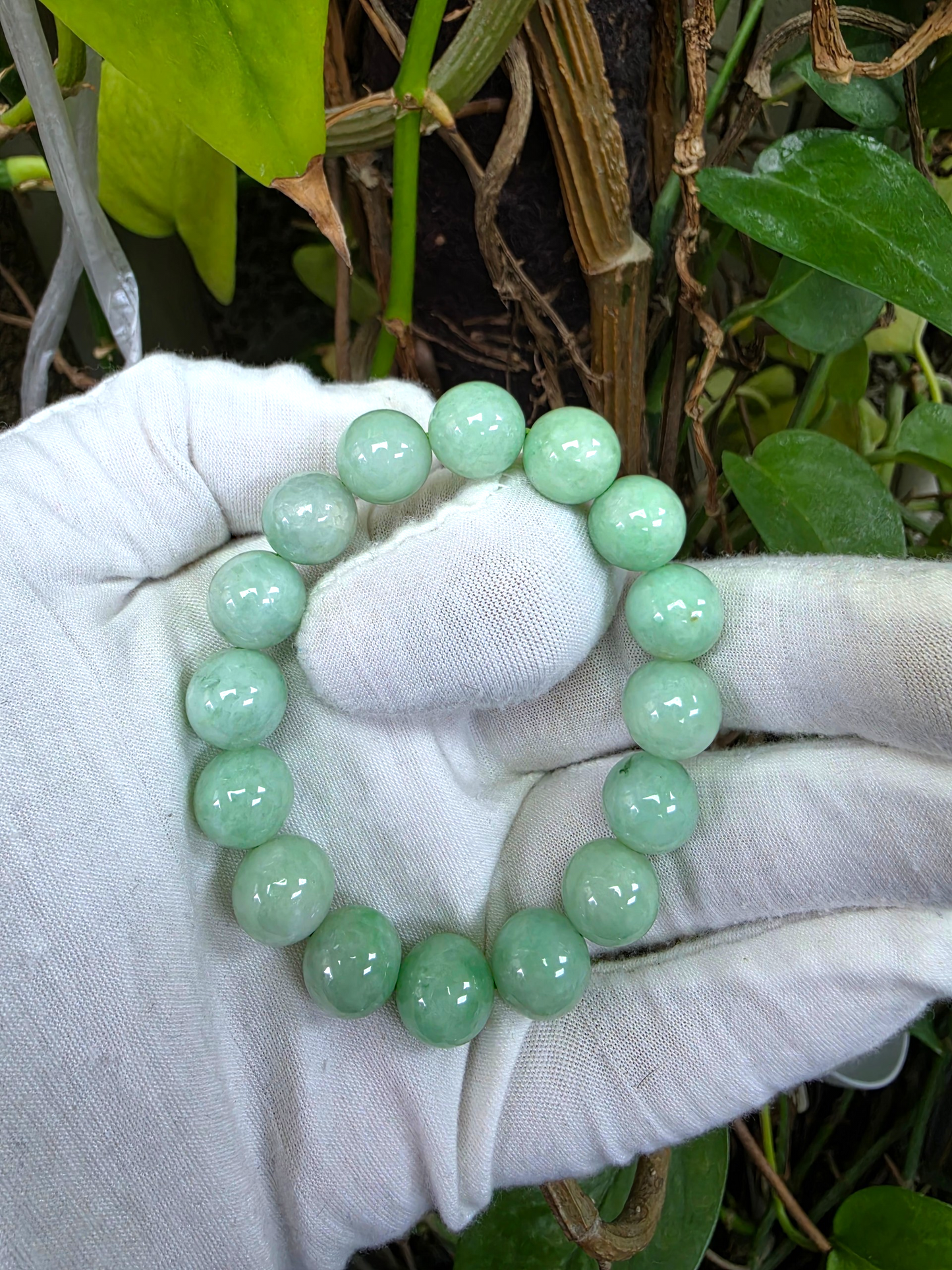 Japanese Winter Green Burmese A-Jade Beaded Bracelet (MADE IN JAPAN) (12.00 - 12.50 mm Each x 16 beads) 05053