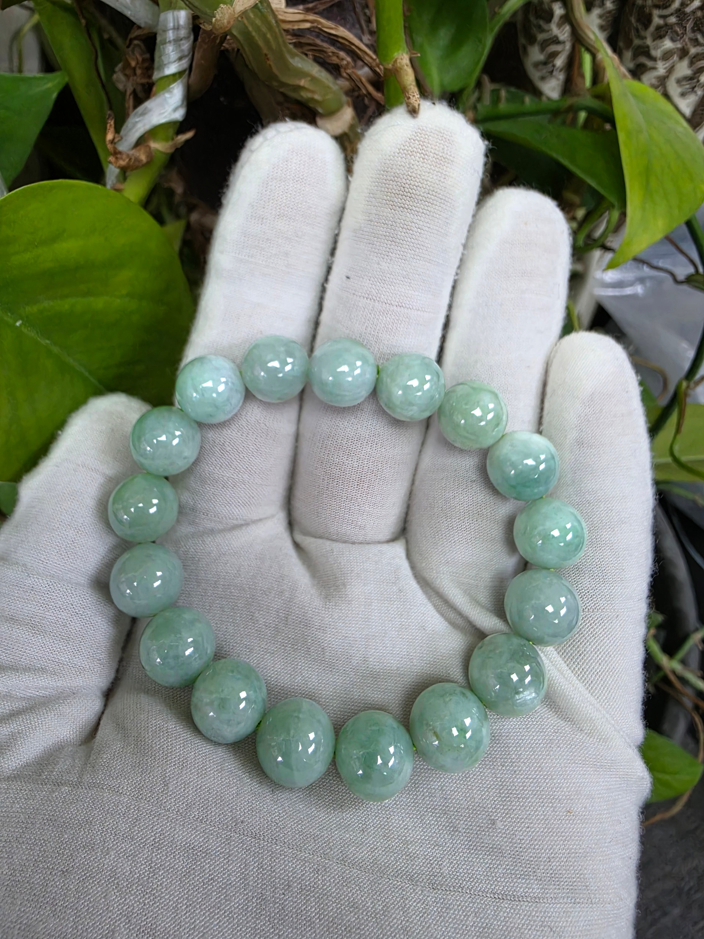 Japanese Winter Green Burmese A-Jade Beaded Bracelet (MADE IN JAPAN) (12.00 - 12.50 mm Each x 17 beads) 05054