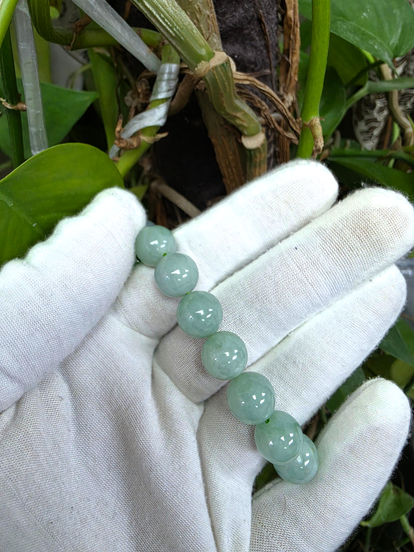 Japanese Winter Green Burmese A-Jade Beaded Bracelet (MADE IN JAPAN) (12.00 - 12.50 mm Each x 17 beads) 05054