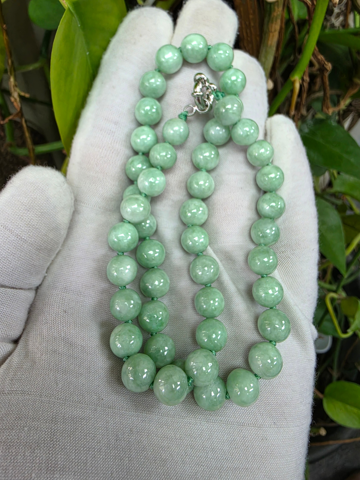Winter Green Burmese A-Jade Beaded Long Necklace - 18.20 inches (9mm Each x 47 Beads) with Sterling Silver 925 - 10015