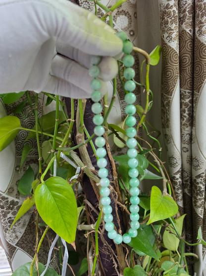 Winter Green Burmese A-Jade Beaded Long Necklace - 18.50 inches (10.50mm Each x 40 Beads) with Sterling Silver 925 - 10018