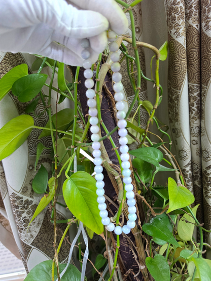 Winter Lavender Burmese A-Jade Beaded Long Necklace - 20.90 inches (11-12mm Each x 49 Beads) with Sterling Silver 925 - 10019