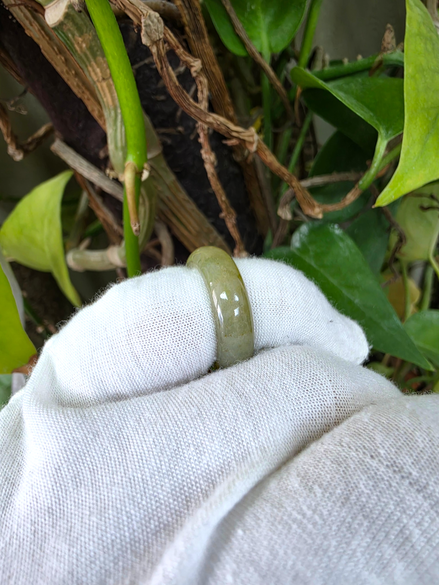 Burmese Jungle Green A-Jade Infinity Band Ring
