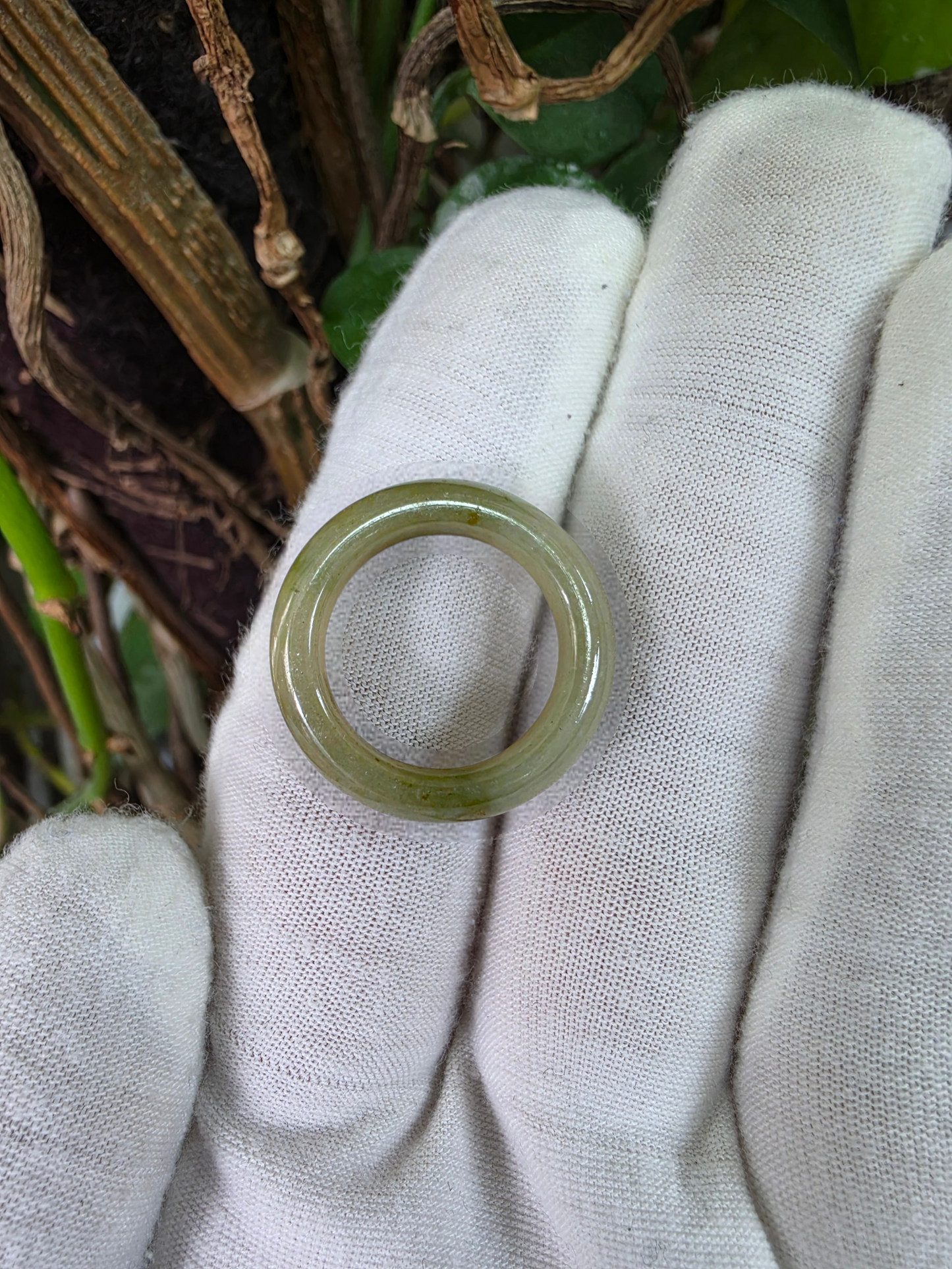 Burmese Jungle Green A-Jade Infinity Band Ring