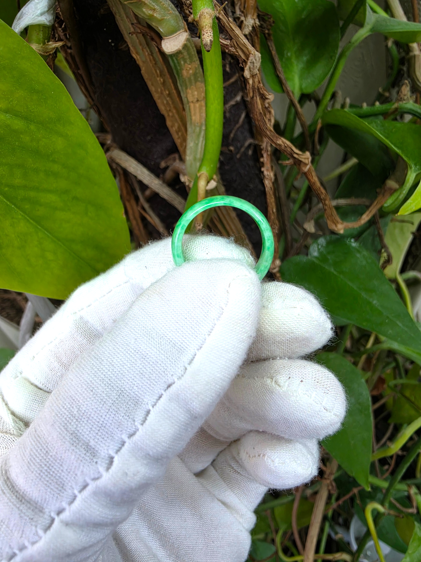 Burmese Bright Green A-Jade Infinity Band Ring - Size US 5.5 - V1