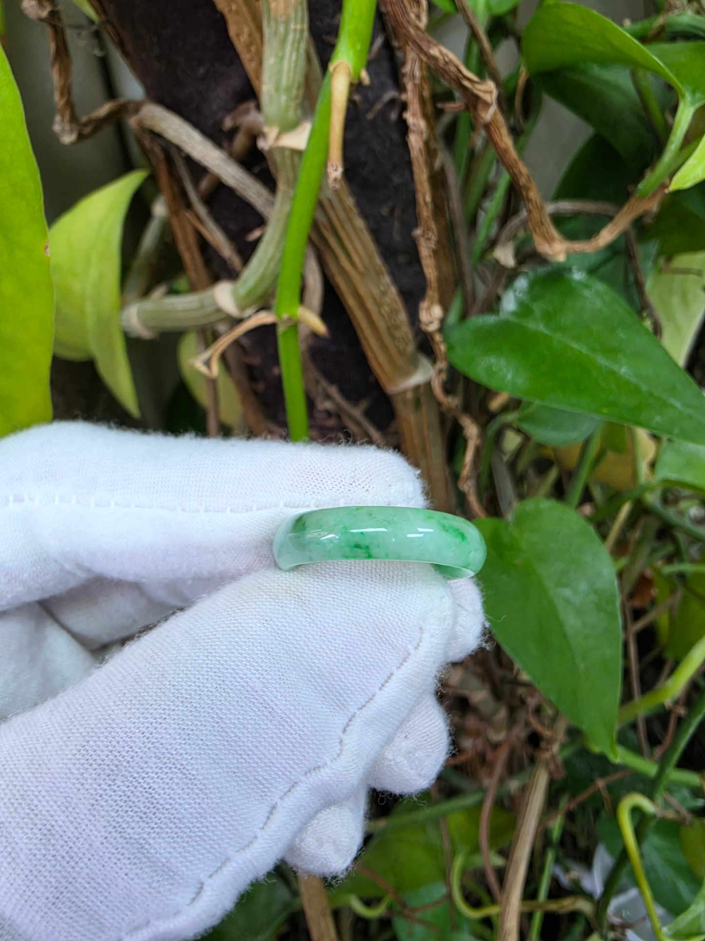 Burmese Green A-Jade Infinity Band Ring - Size US 8 - V3