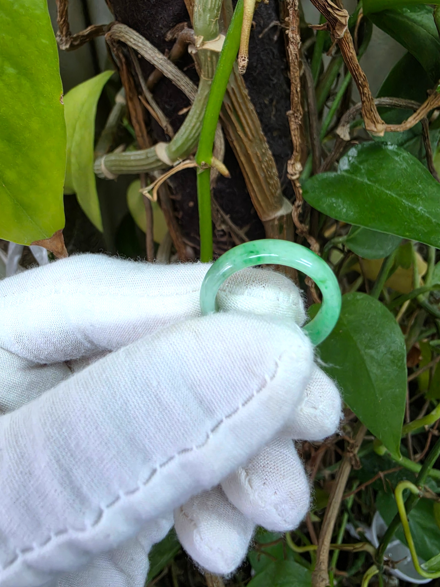 Burmese Green A-Jade Infinity Band Ring - Size US 8 - V3