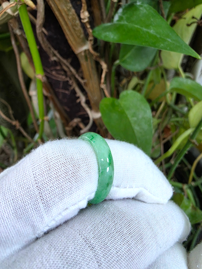 Burmese Green A-Jade Infinity Band Ring - Size US 8 - V3