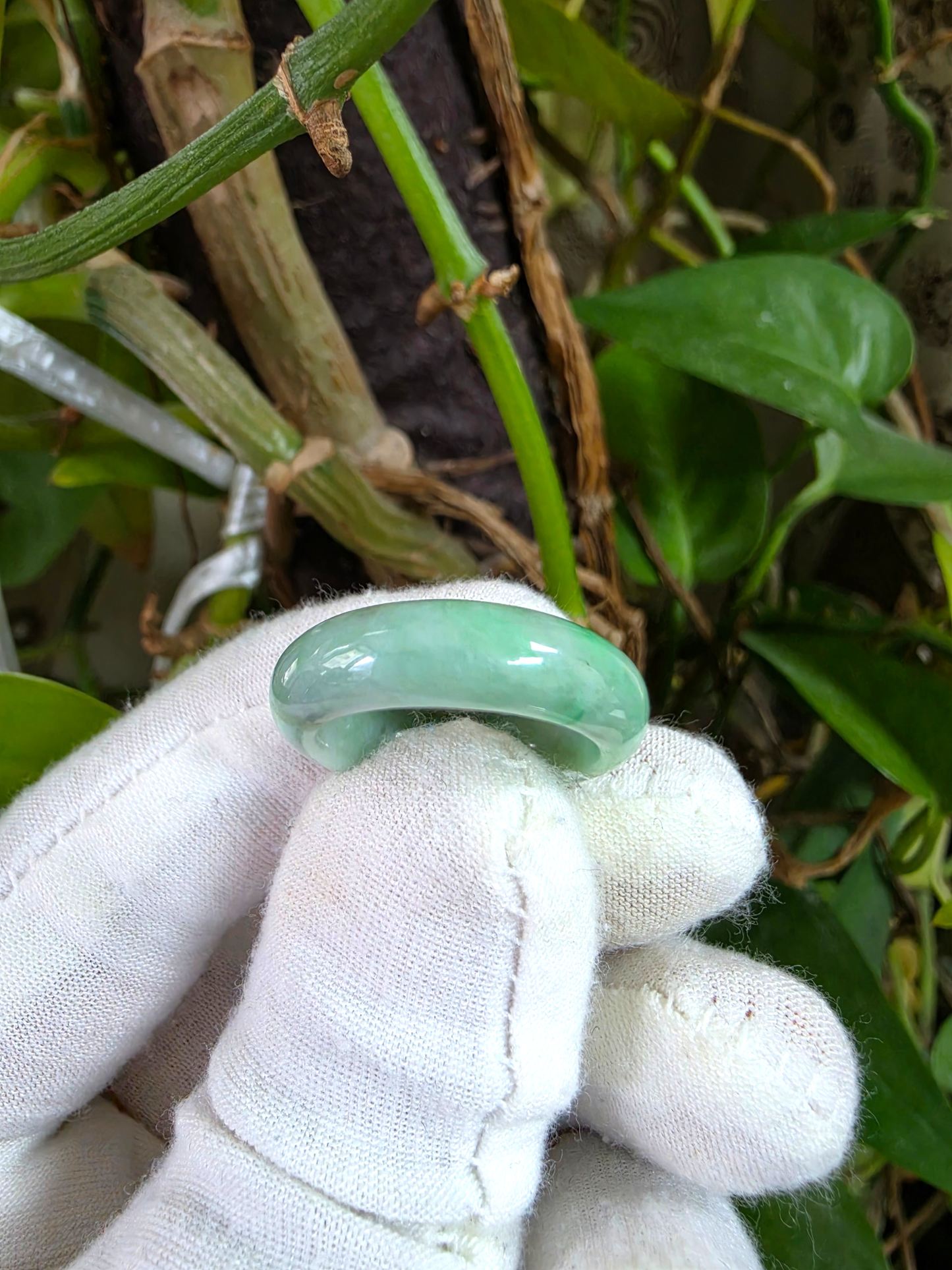 Burmese Green A-Jade Infinity Band Ring - Size US 8.5 - V5