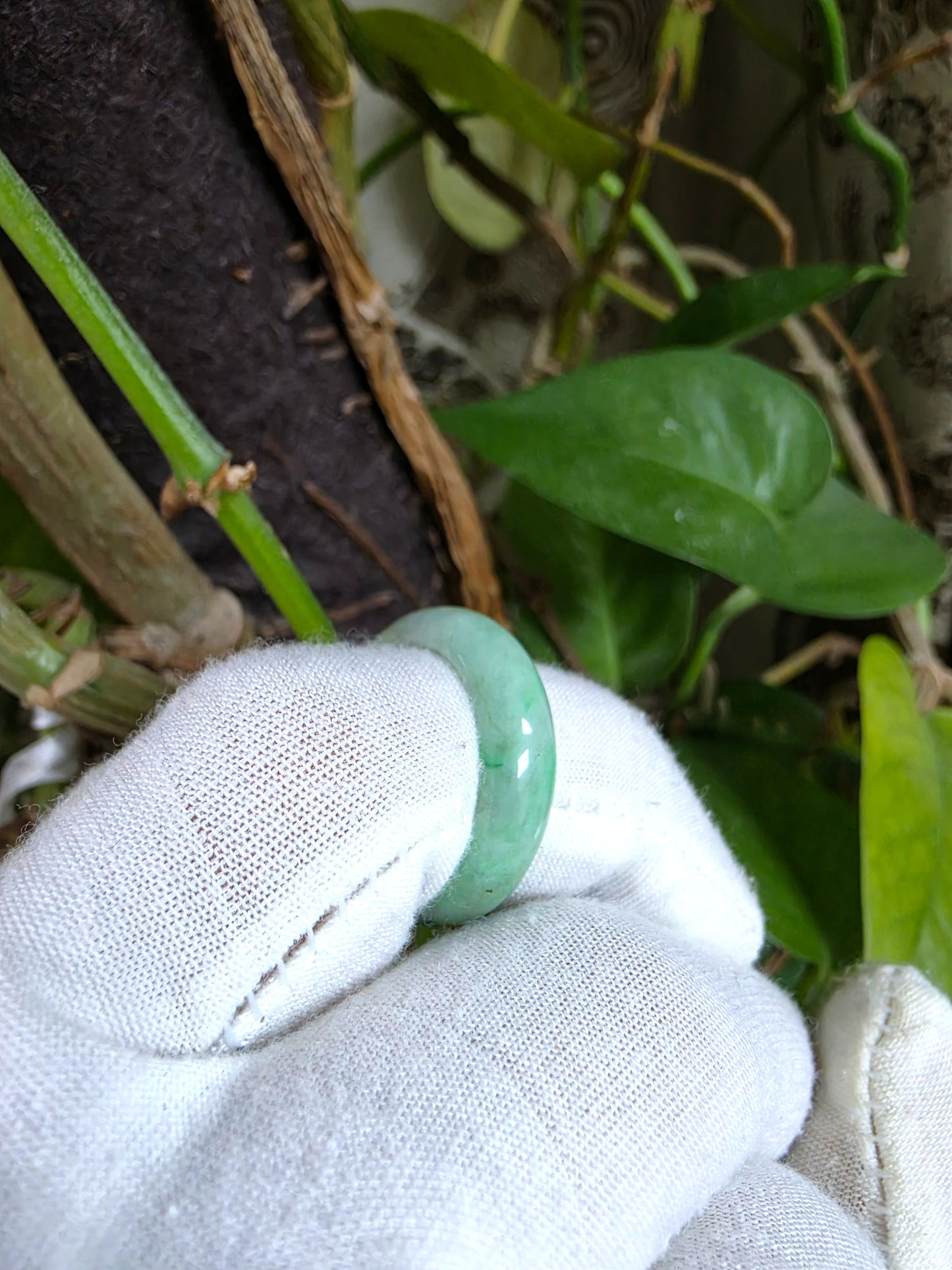 Burmese Green A-Jade Infinity Band Ring - Size US 8.5 - V5