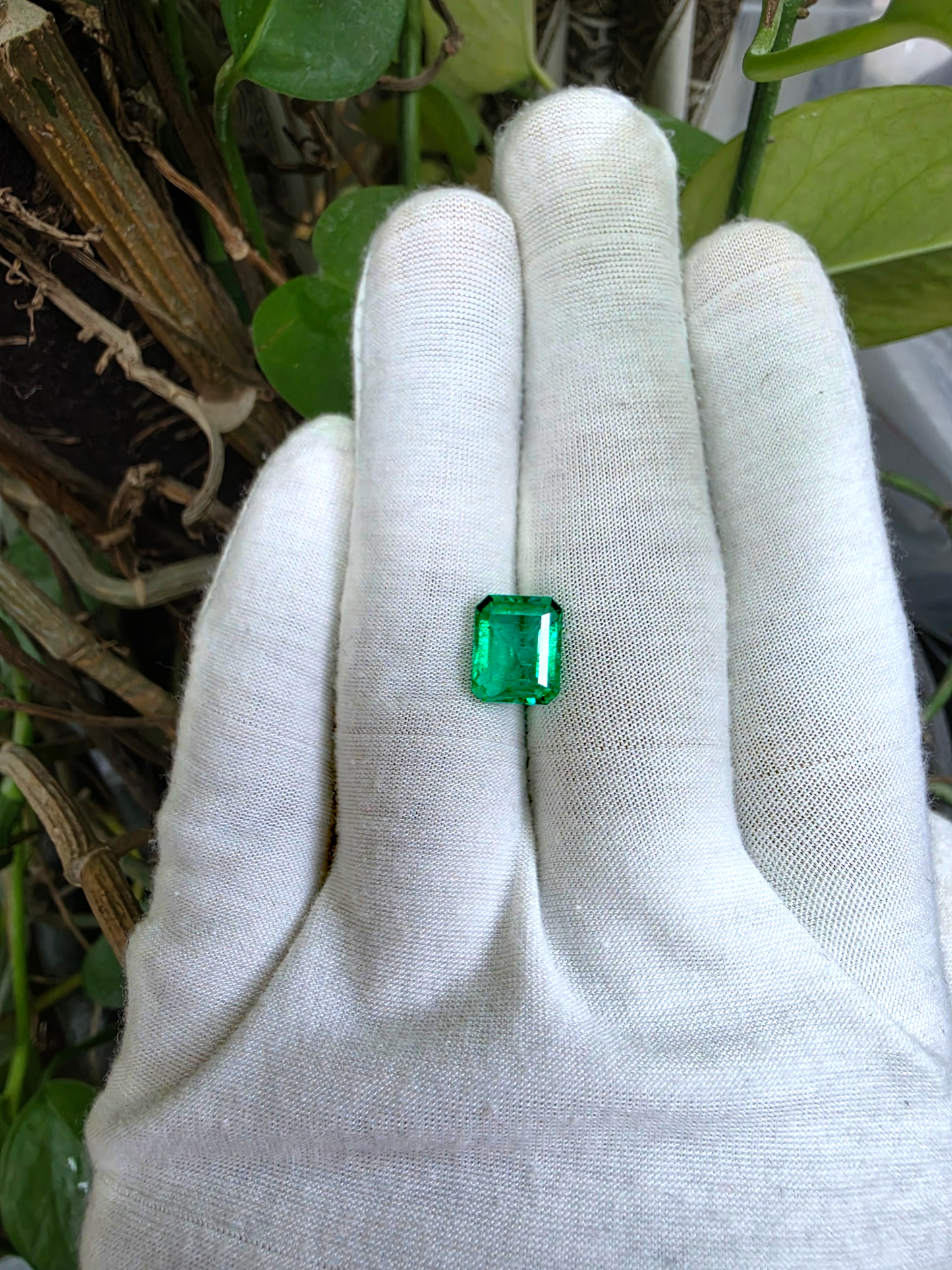GRS Certified 4.36 cts. Minor Oil Emerald (Columbia) Eye Clean Loose Stone LS26